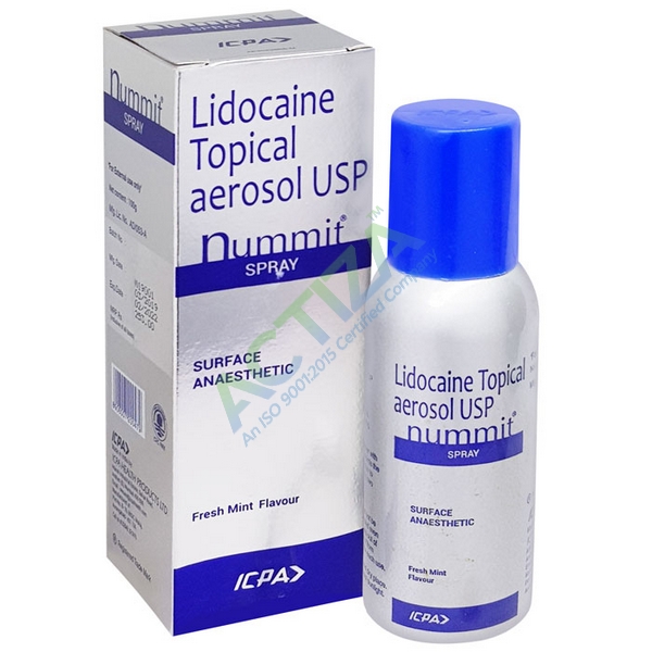 Nummit Spray Fresh Mint 100g