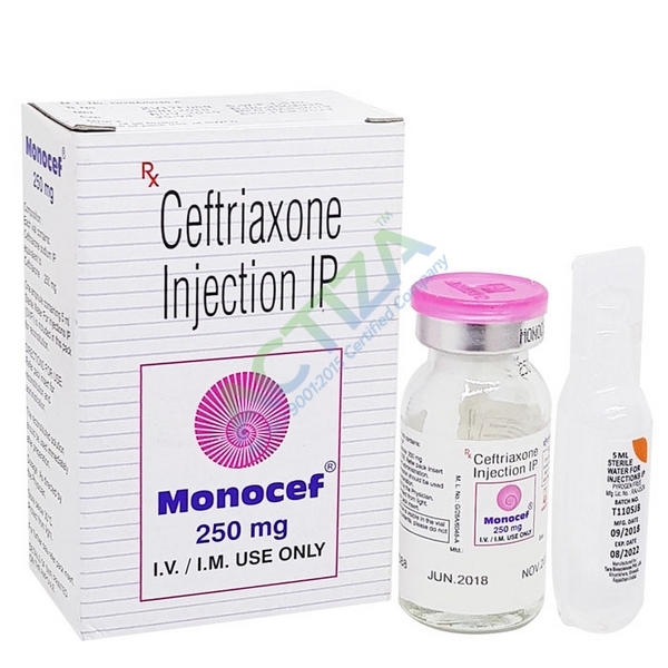 Monocef Injection 250 Mg