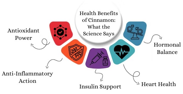 Health Benefits of Cinnamon: What the Science Says