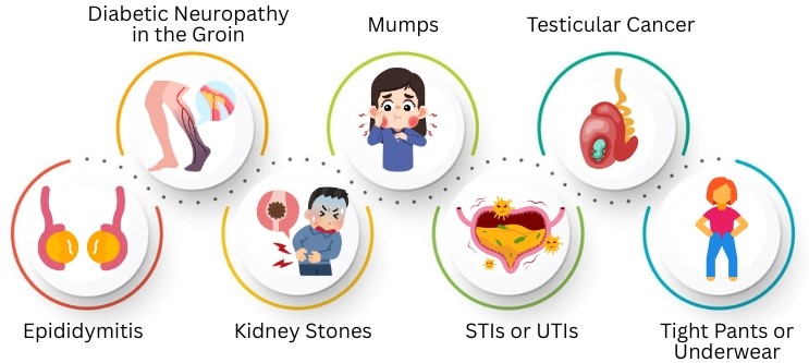 Other Possible Causes of Testicular Pain or Swelling