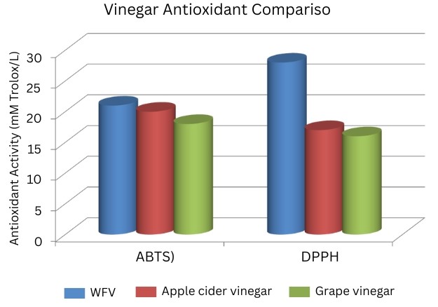 Vinegar Antioxidant Compariso