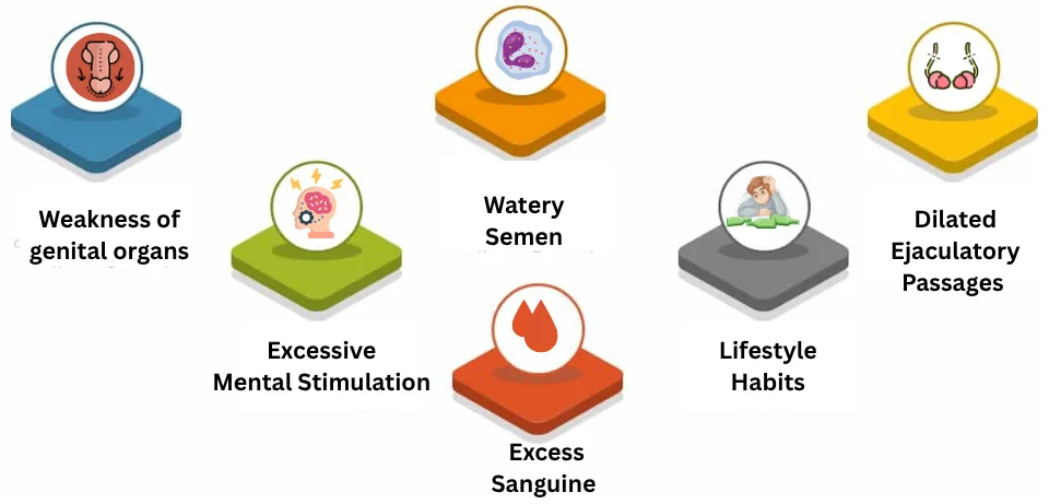What Causes Premature Ejaculation