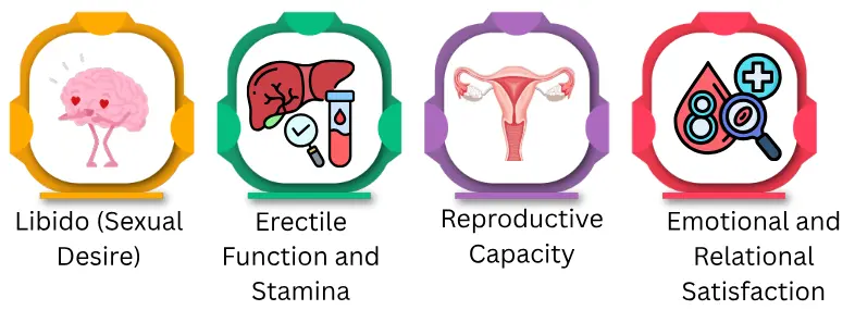 Understanding Male Sexual Health