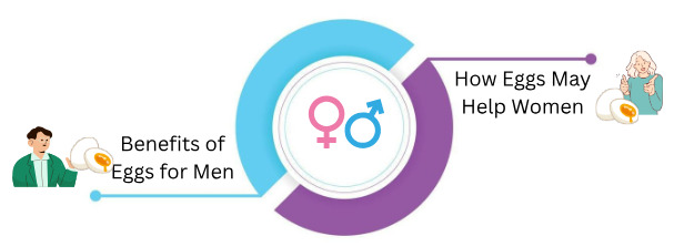 Eggs and Male & Female Sexual Health