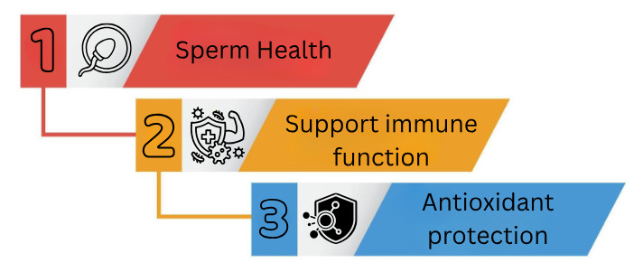 Nutritional Profile of Eggs Small Food, Big Impact