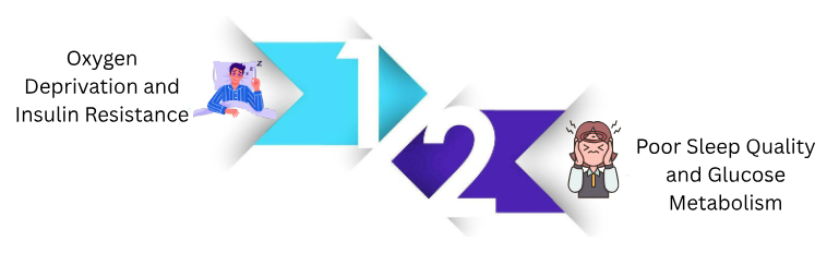 Physiological Mechanisms Linking OSA to Glucose Intolerance