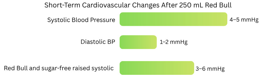Short-Term Cardiovascular Changes After 250 mL Red Bull