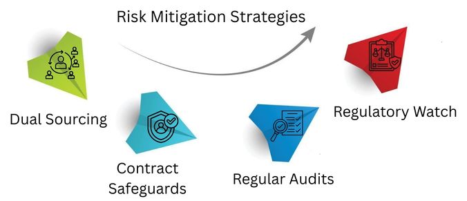 Risk Mitigation Strategies