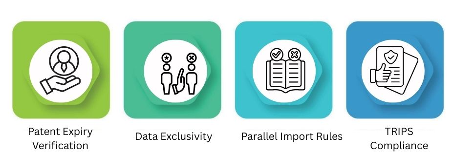 Intellectual Property & Patent Risk Assessment