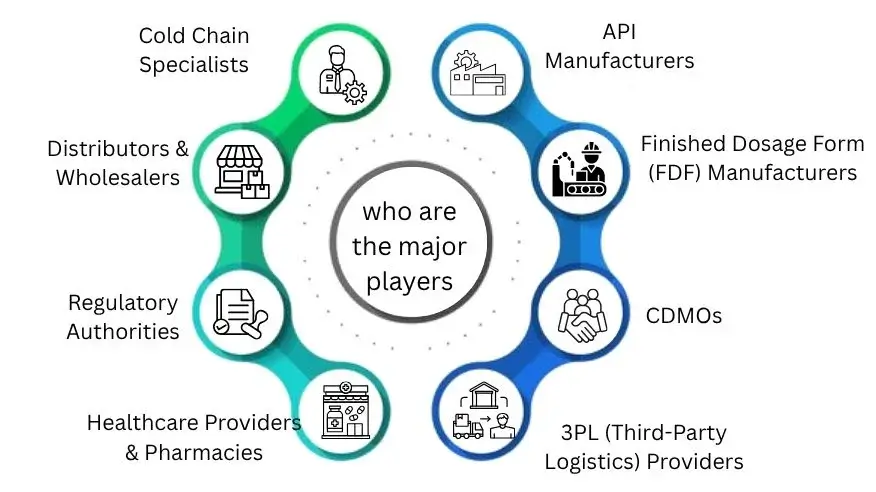 who are the major players