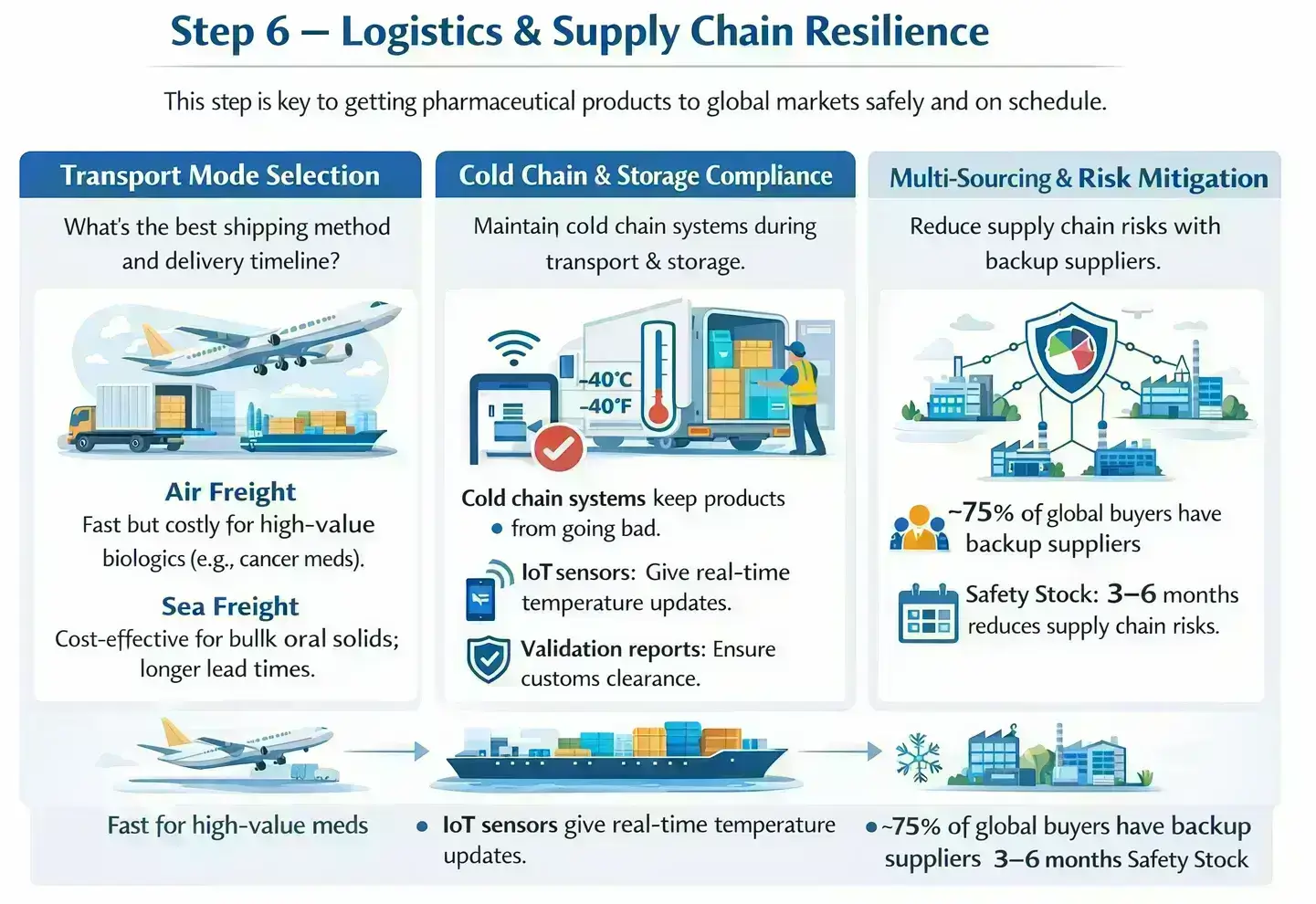 step 6 - logistics & supply chain resilience