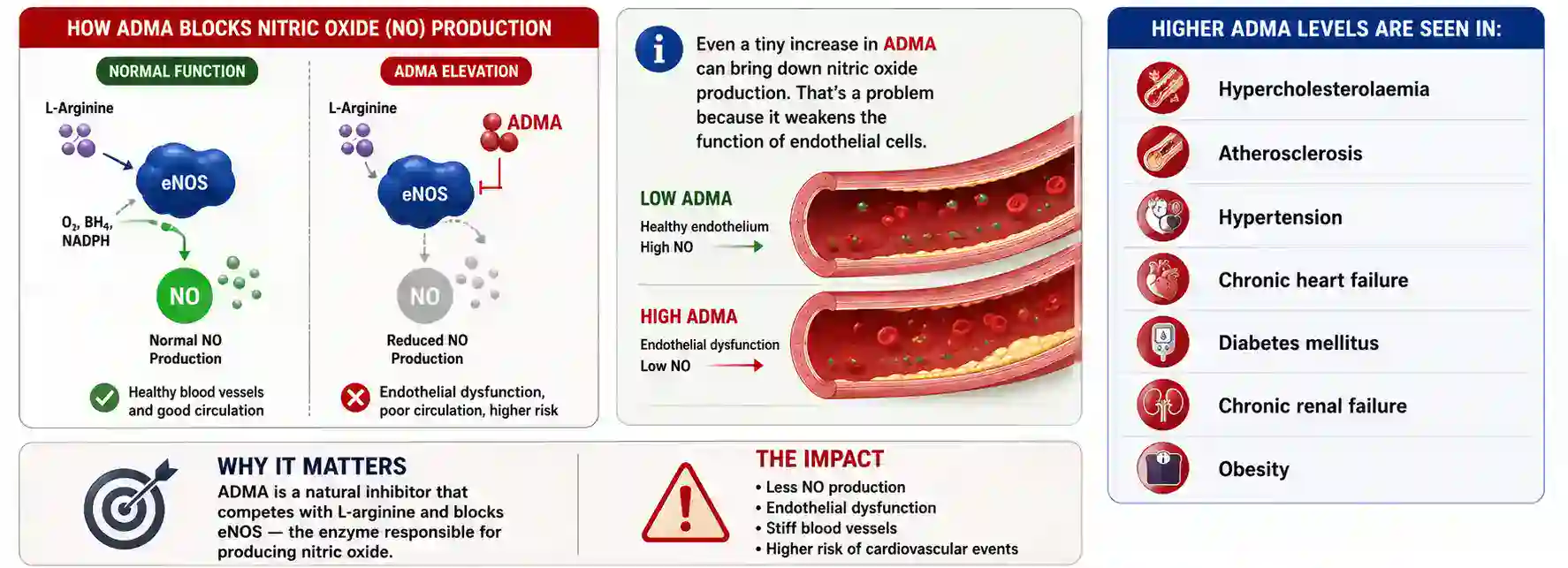 cause 5 – adma elevation the body’s own no blocker
