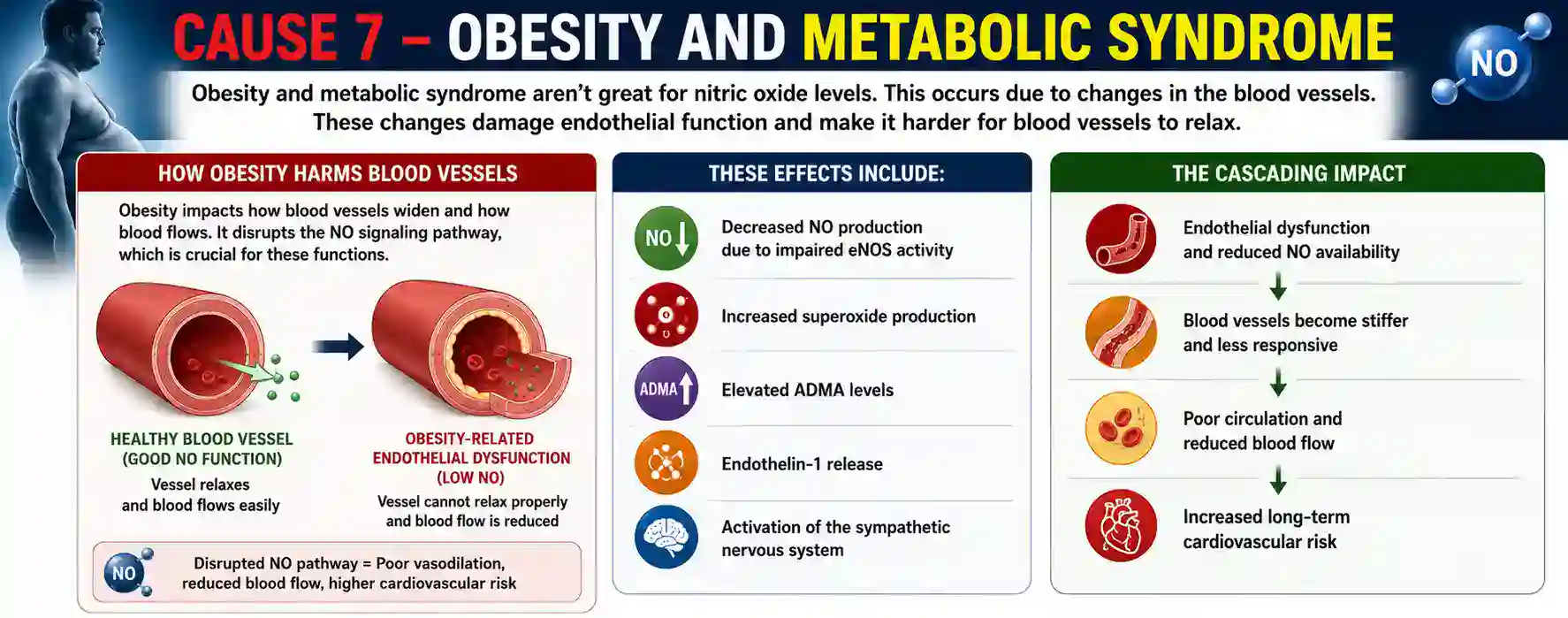 cause 7 – obesity and metabolic syndrome