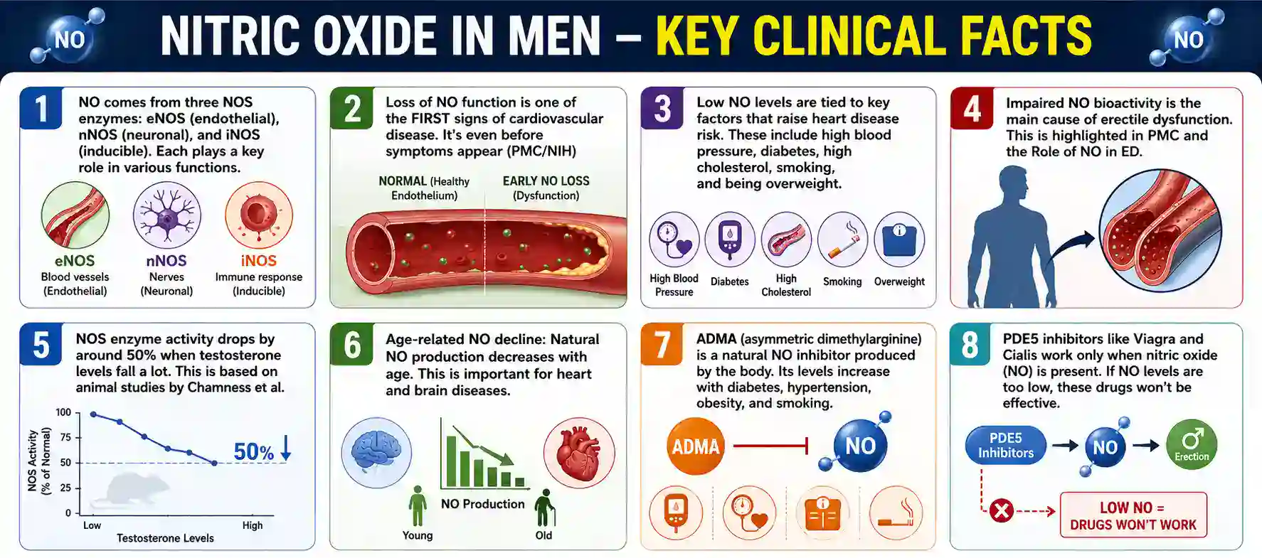 nitric oxide in men - key clinical facts