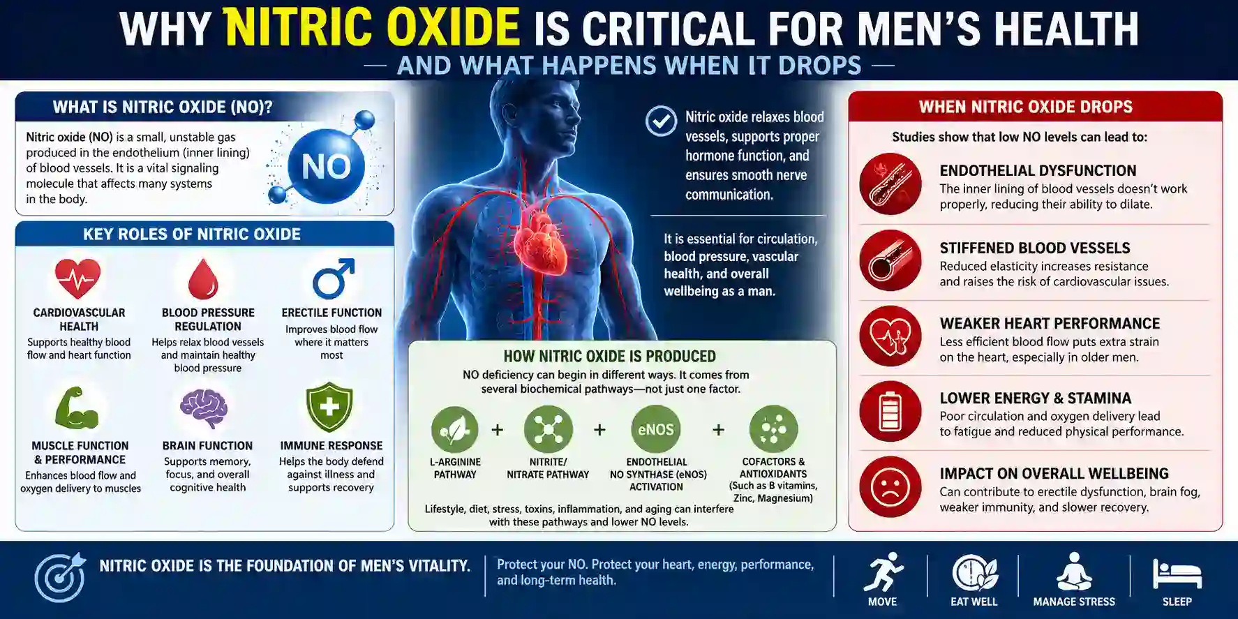 why nitric oxide is critical for men's health - and what happens when it drops