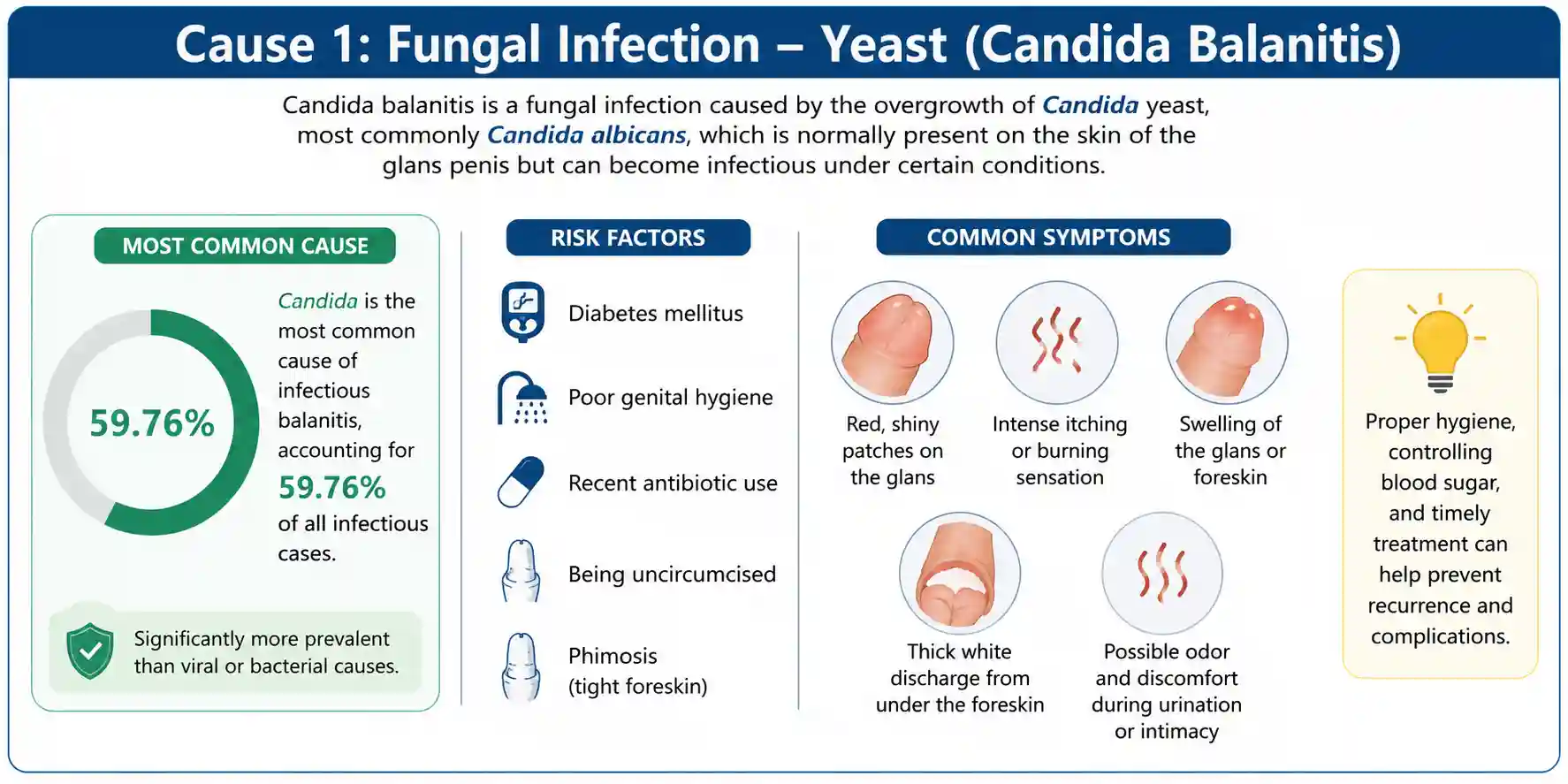 Cause 1 Fungal Infection - Yeast (Candida Balanitis)