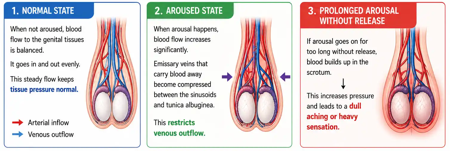 how blood flow changes create the sensation
