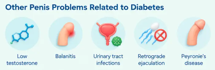 other penis problems related to diabetes
